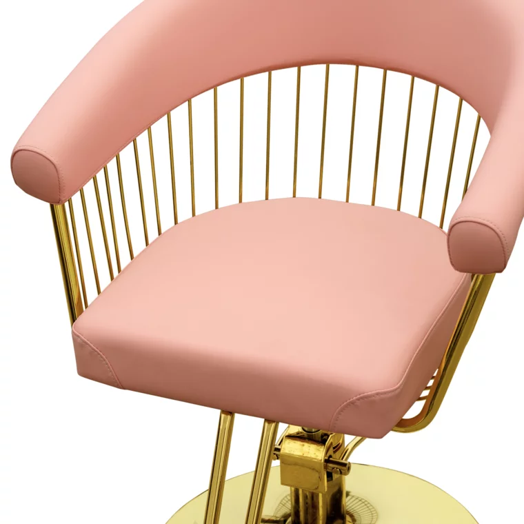 Frizerska stolica sa hidraulikom WL-S2299P — slika 4